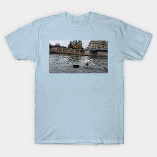 Paris Swans in the River Seine T-Shirt